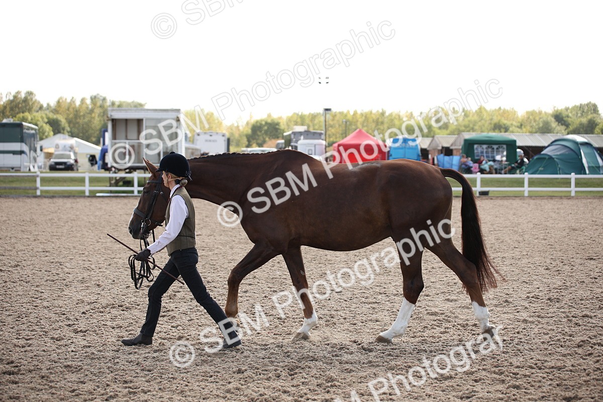 SBM_07096 - Class 25 IH Foreign Breeds- Pure bred