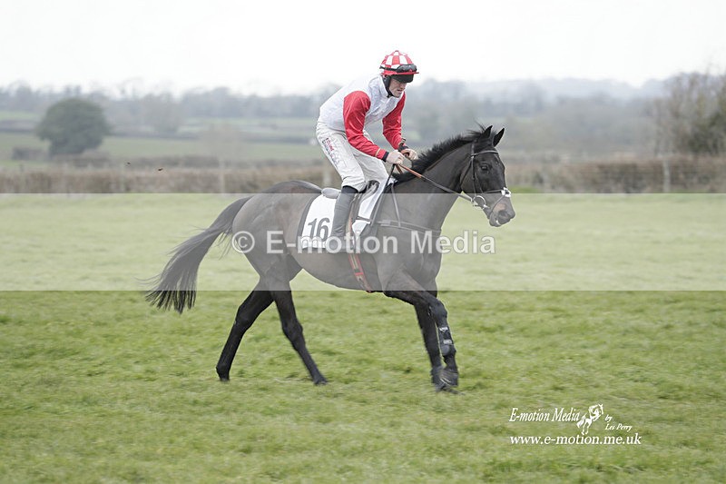 PtP 050323 780 - Blackmore & Sparkford Vale Hunt PtP - Somerset 05/03/23