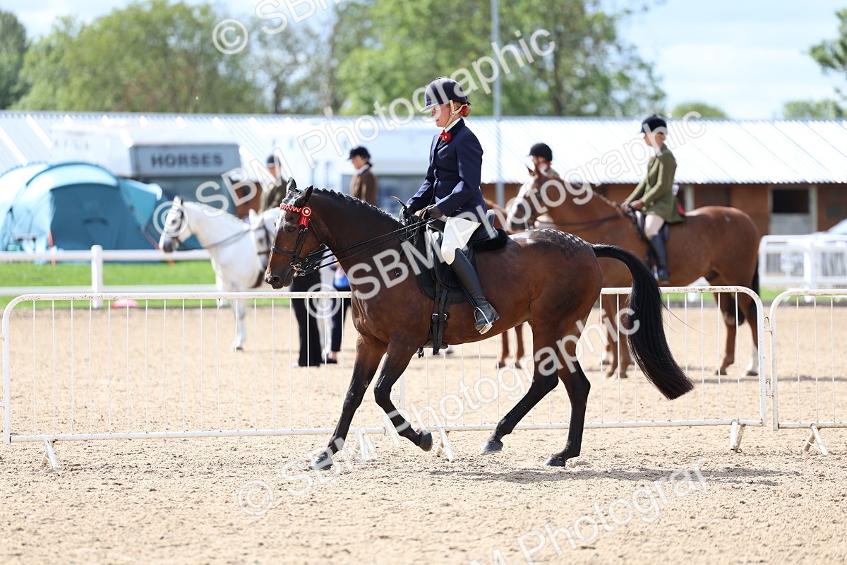 SBM_13294 - Class 311 - Ridden Show Pony Show Hunter Pony