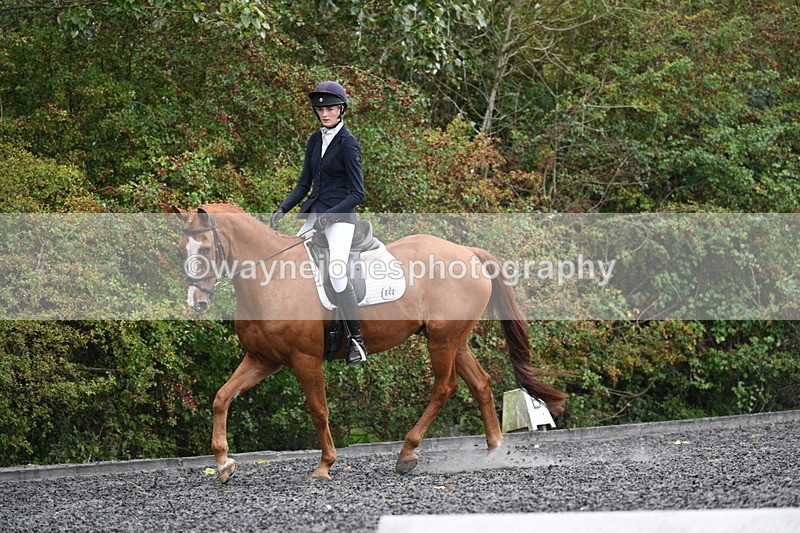 WJ7_6653 - Time 14:49 to 15:14