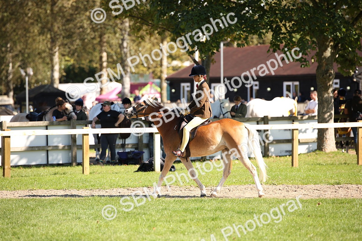 SBM_39034 - S11 - Best Ridden Horse & Pony
