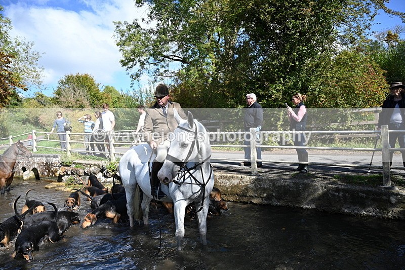 WJ7_5997 - Hounds Water Crossing