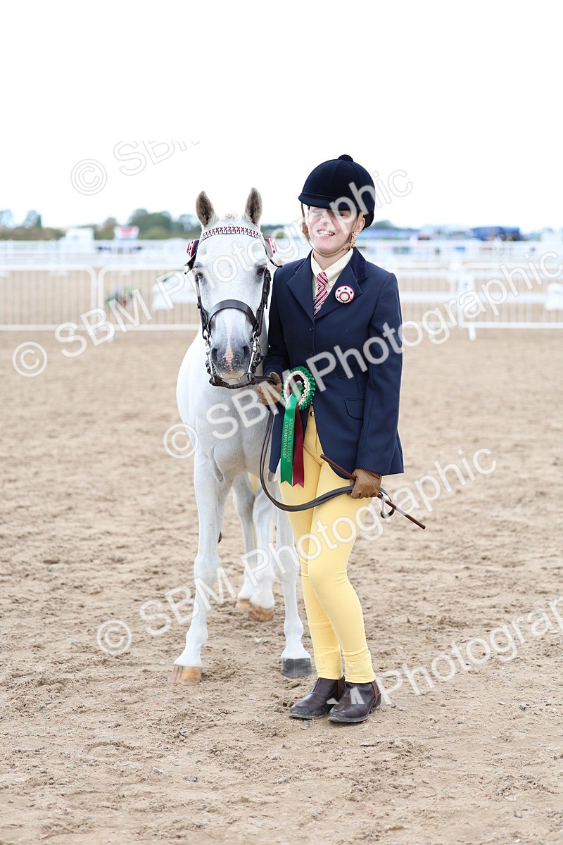 SBM_05143 - Class 27 - IH Competition Horse or Pony