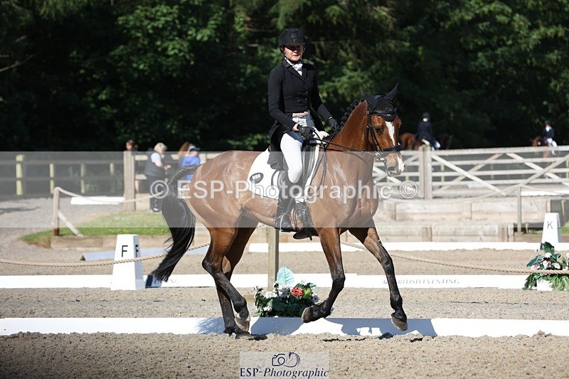 230526-091026-05007 - 352-TEQUILA_SUNRISE-Pippa_Taylor-WEDTrotUp+DR