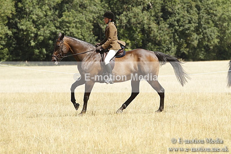 _BS_0768 - BVRC Show 2018 Ring 1