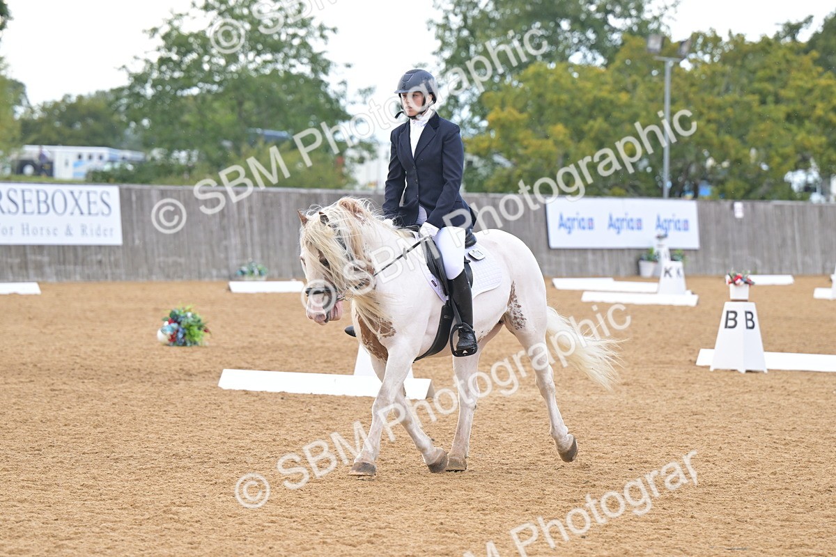 SBM_11223 - D3 - Small Tour Championship Intro 3