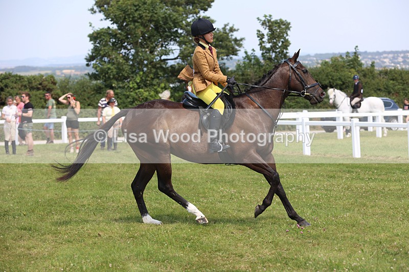 JPP_3246 - Class 22: Working Hunter 70cm