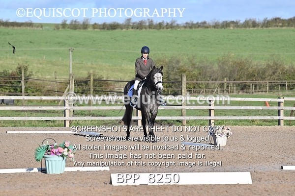 BPP_8250 - SHORT ARENA INTRO 1
