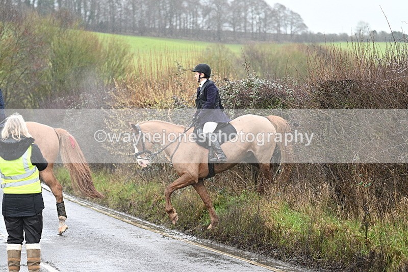 WJ7_6954 - Crossing A Camera