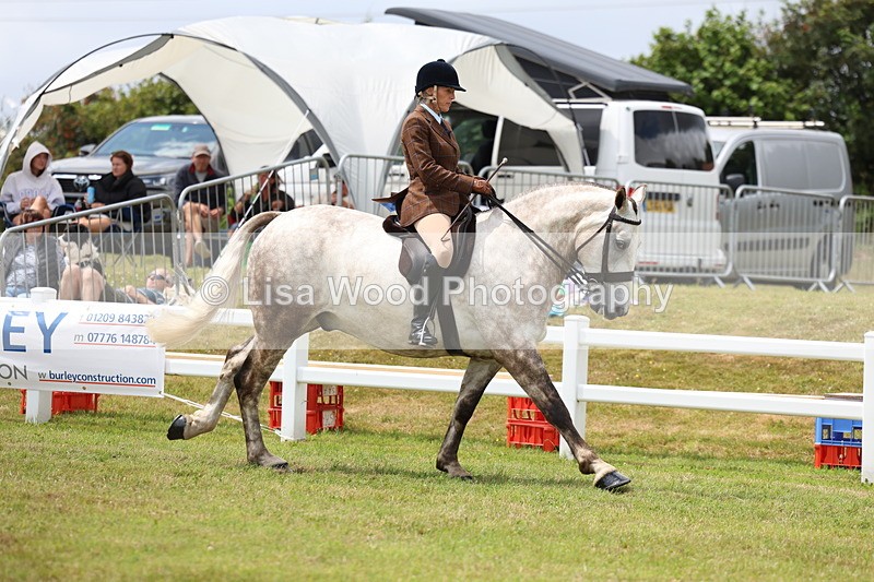 3E7A1935 - Class 10: Open Cob