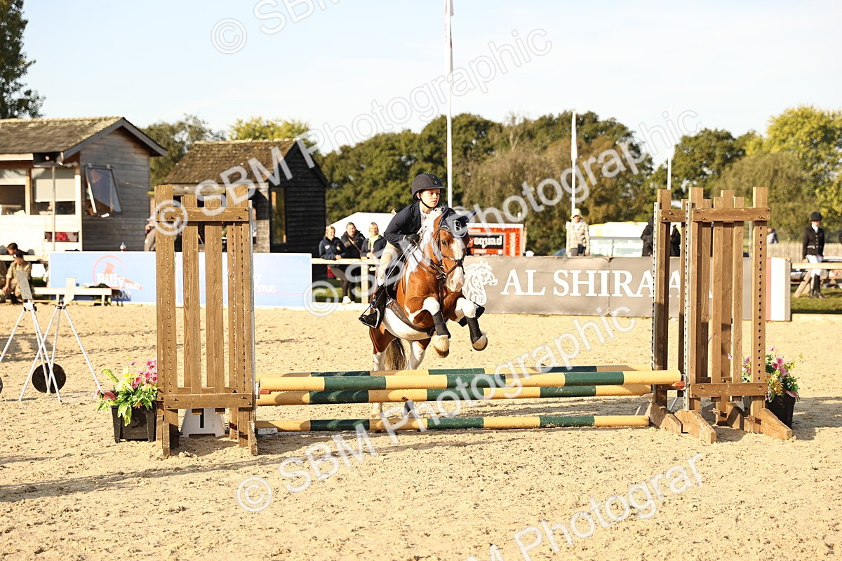 SBM_59463 - J11 - Junior Pony 50cm Championship
