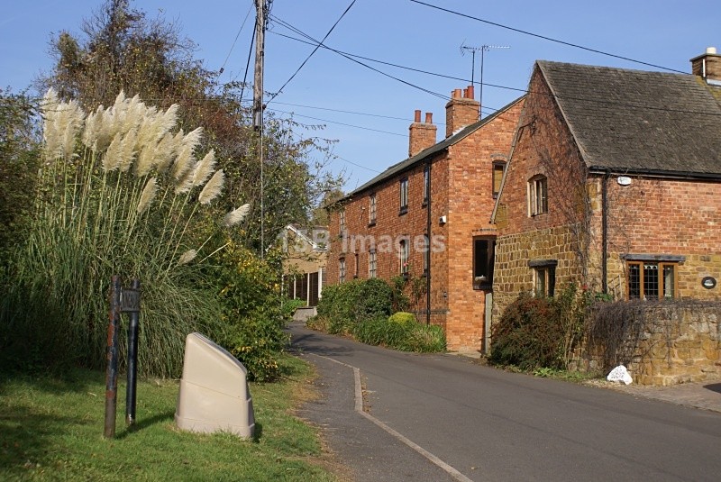 Flore - Northamptonshire