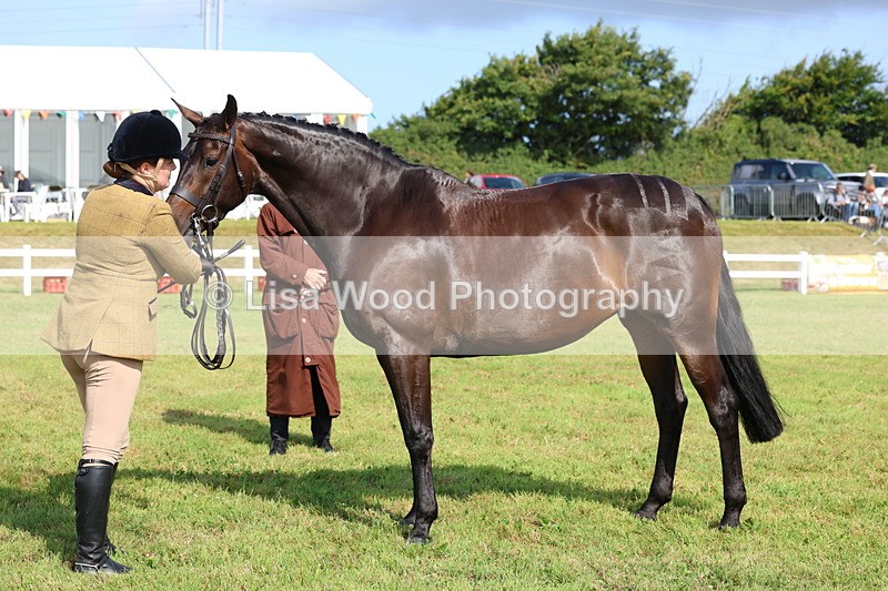 3E7A9144 - Class 3: Rising Star S/L Hunter