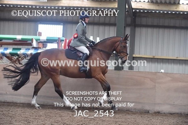 JAC_2543 - CLASS 3 Intermediate Working Hunter