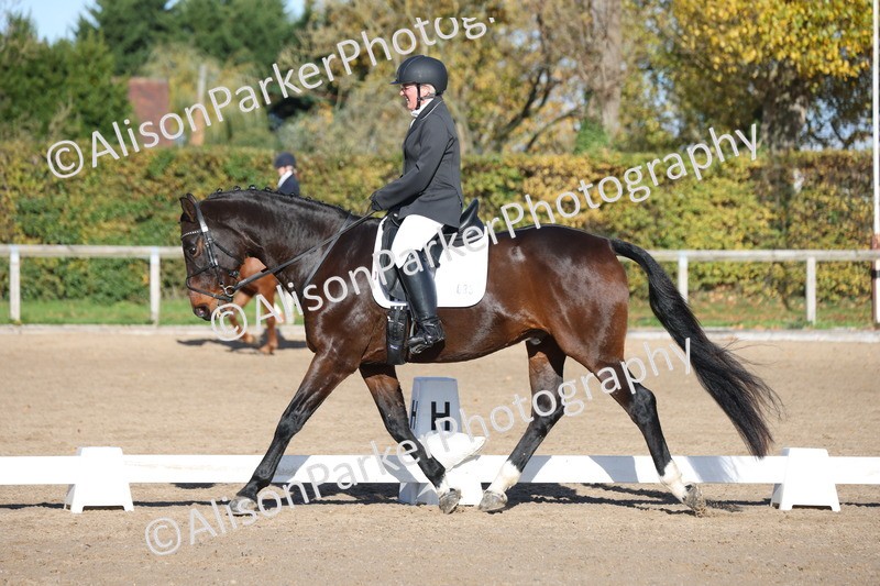 20251102-0677 - Class 4 - Novice 6