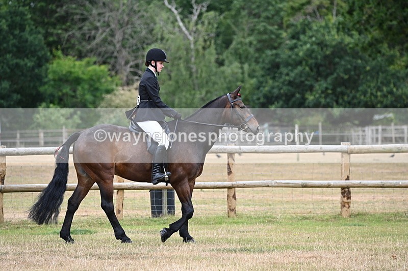 WJ6_3746 - Class 9 Tack & Turnout