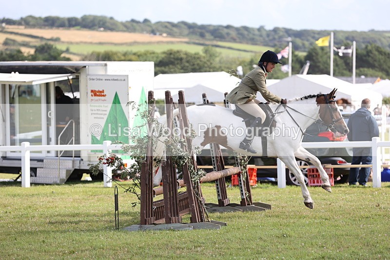 JPP_2817 - Class 20: Working Hunter 70cm