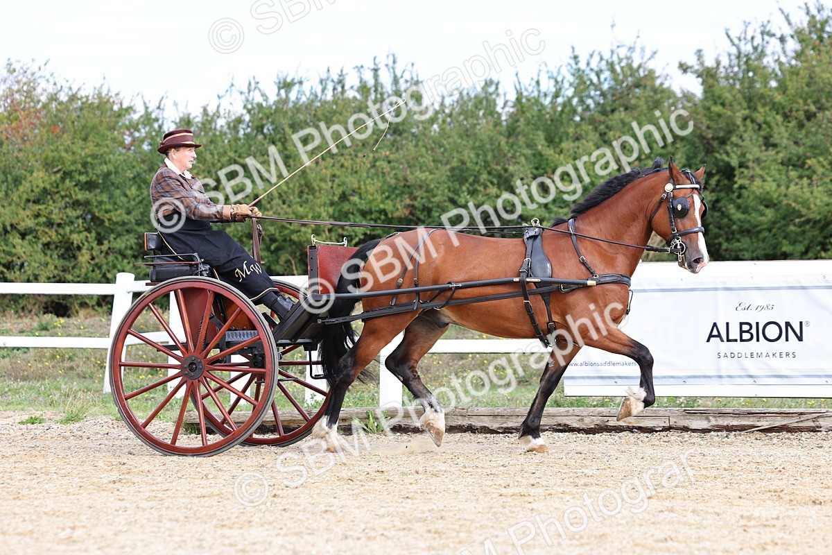 SBM_000724 - Class 6 - Exercise Vehicle 13.2 and over