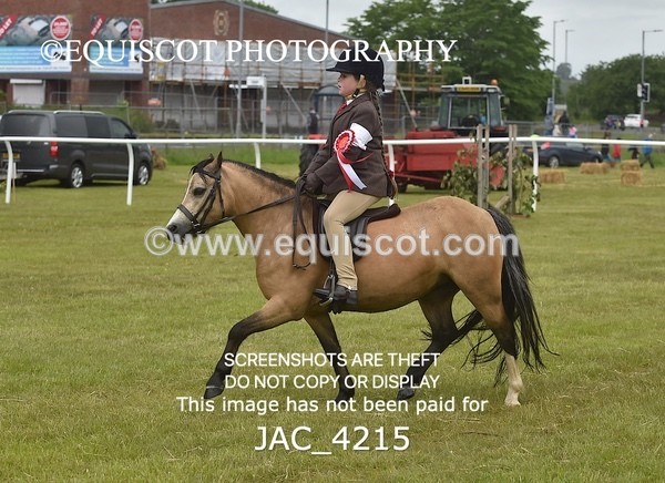 JAC_4215 - WORKING HUNTER CHAMPIONSHIP