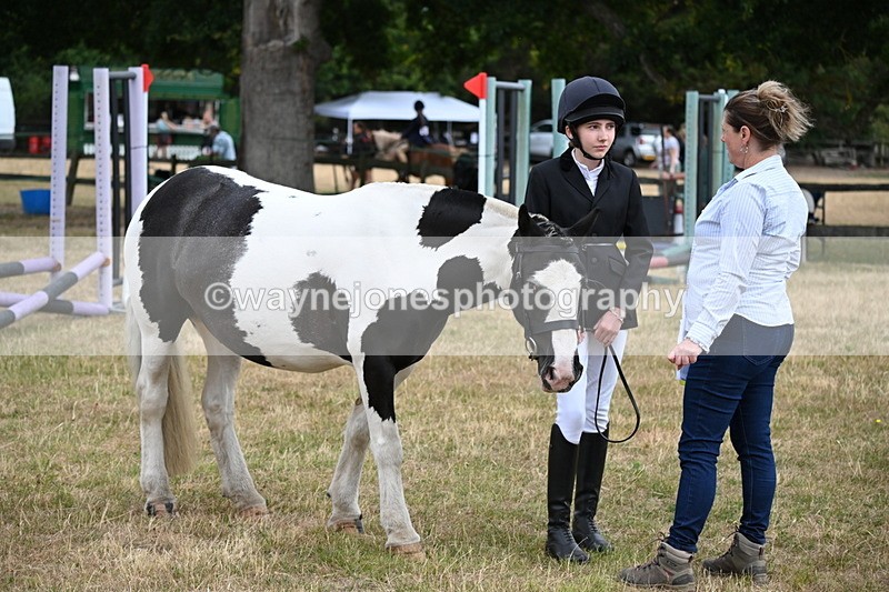 WJ6_4203 - Class 10 Coloured In-hand