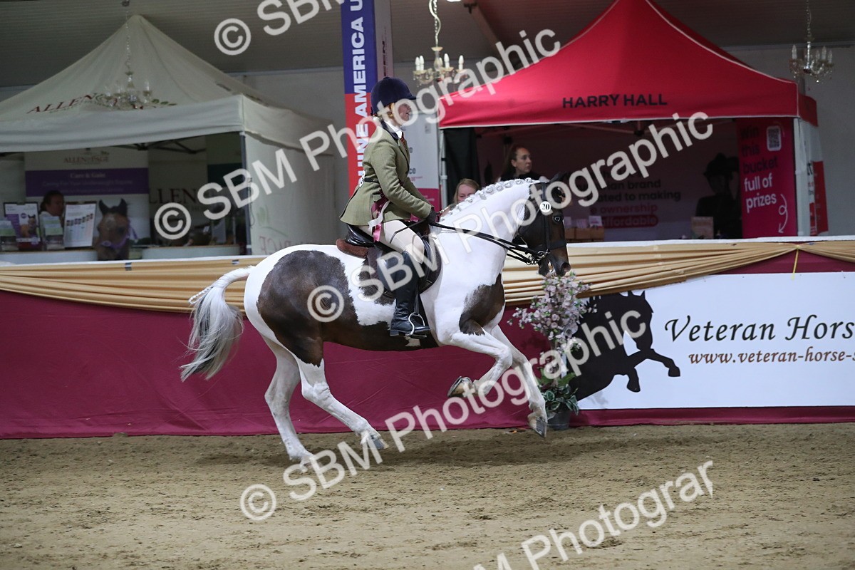 SBM_08516 - Class 11R Regional Ridden Veteran