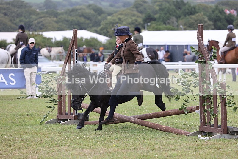JPP_1727 - Class 18: Tiny Tots Working Hunter Pony