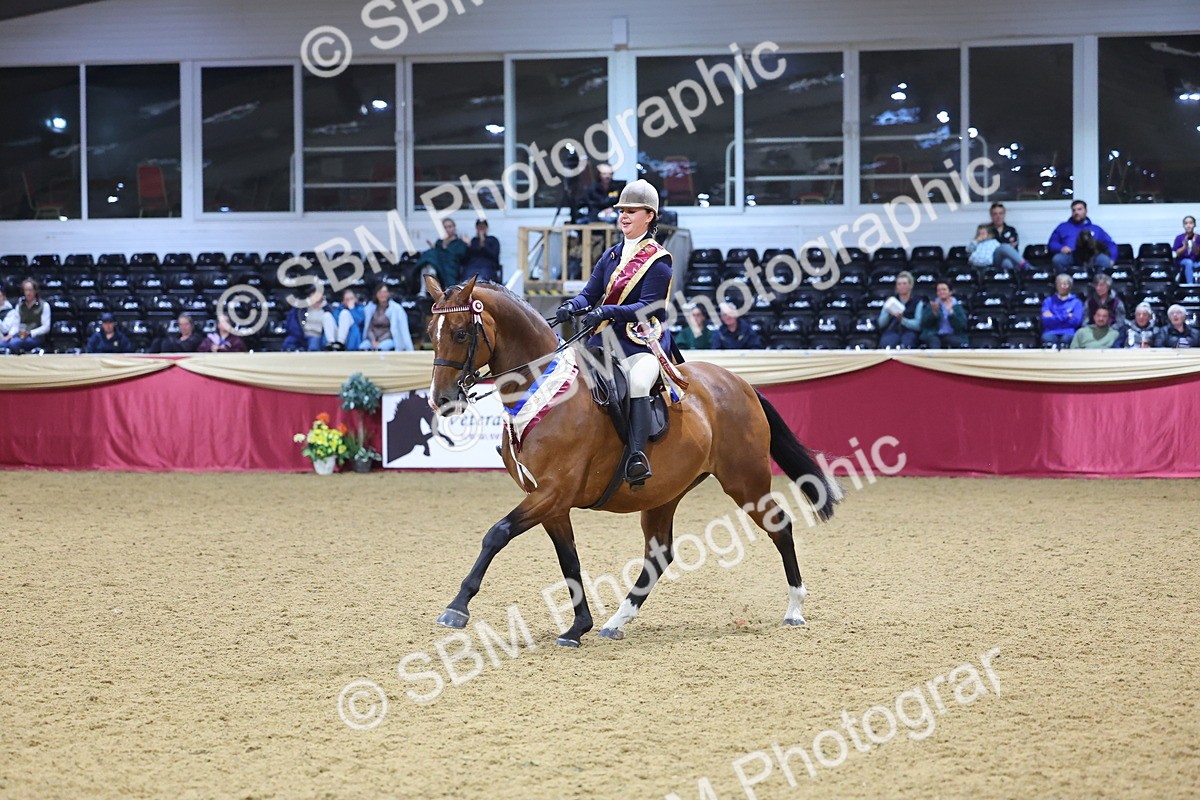 SBM_19196 - Class I Competition/ Riding Club Champ