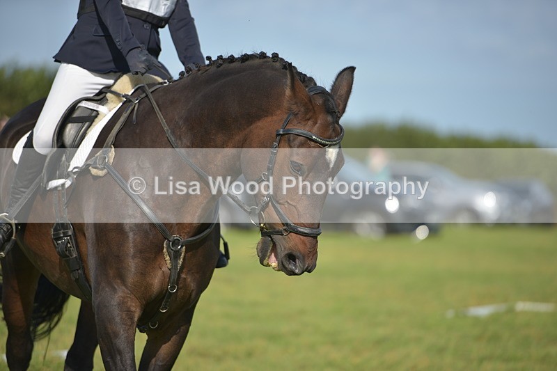 RAY_7487 - Class 2B: Trekenning Open: Dressage
