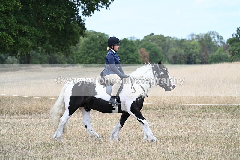 WJ7_4795 - Class 12 Ridden Cob