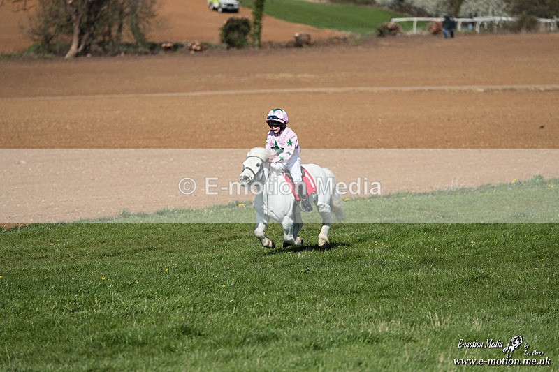 Shet 060426 143 - Shetland Pony Racing Paxford Races Easter Mon 06/04/26