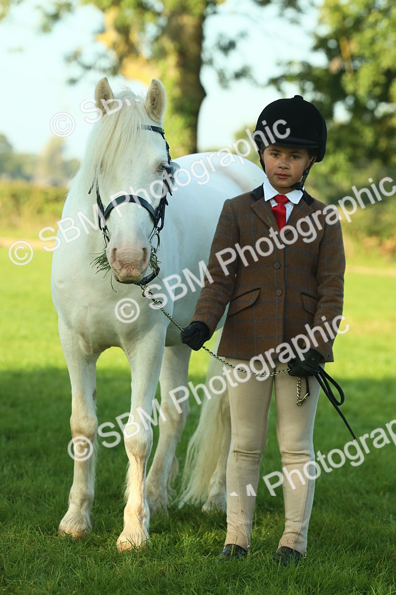 SBM_57507 - S37 - Starters In Hand Showing
