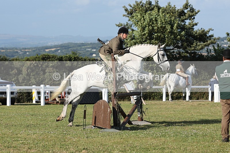 JPP_3379 - Class 22: Working Hunter 90cm