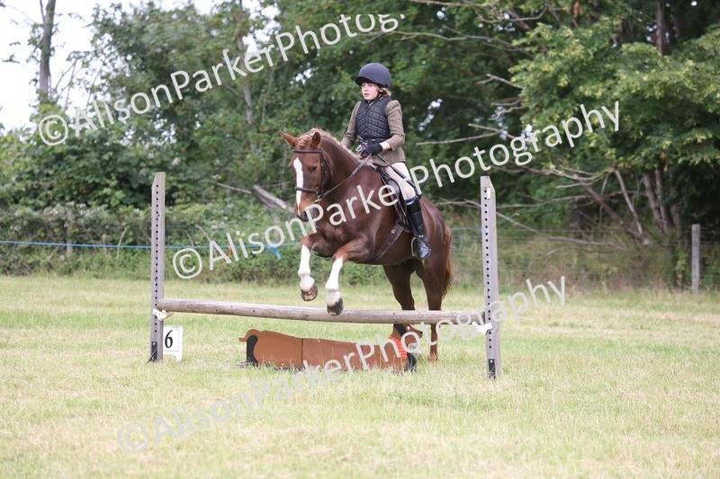 20260614-2736 - Class 22 - Open Working Hunter