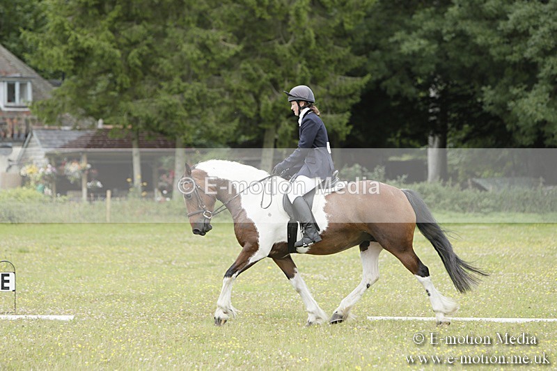 BVR160717-1381 - Class 3 Dressage 16/07/17