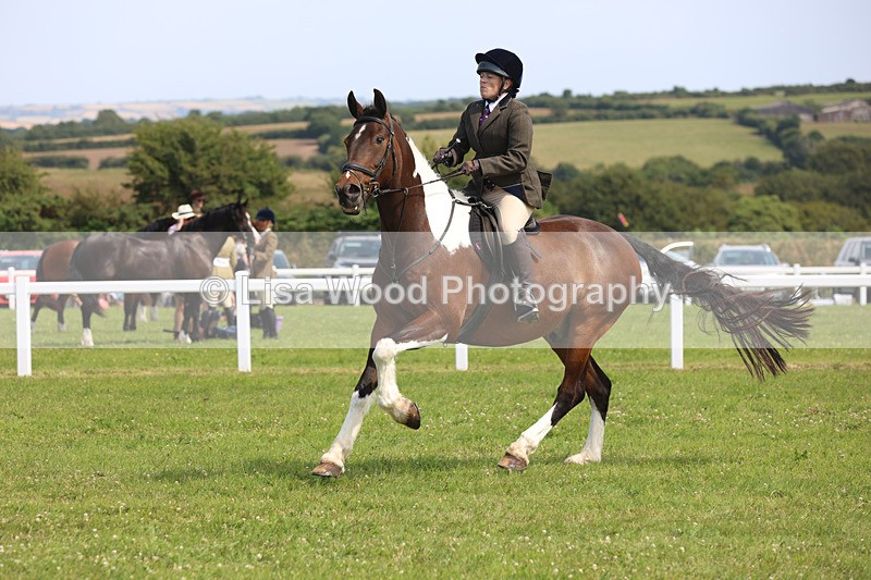 JPP_3639 - Class 23: Working Hunter 80cm