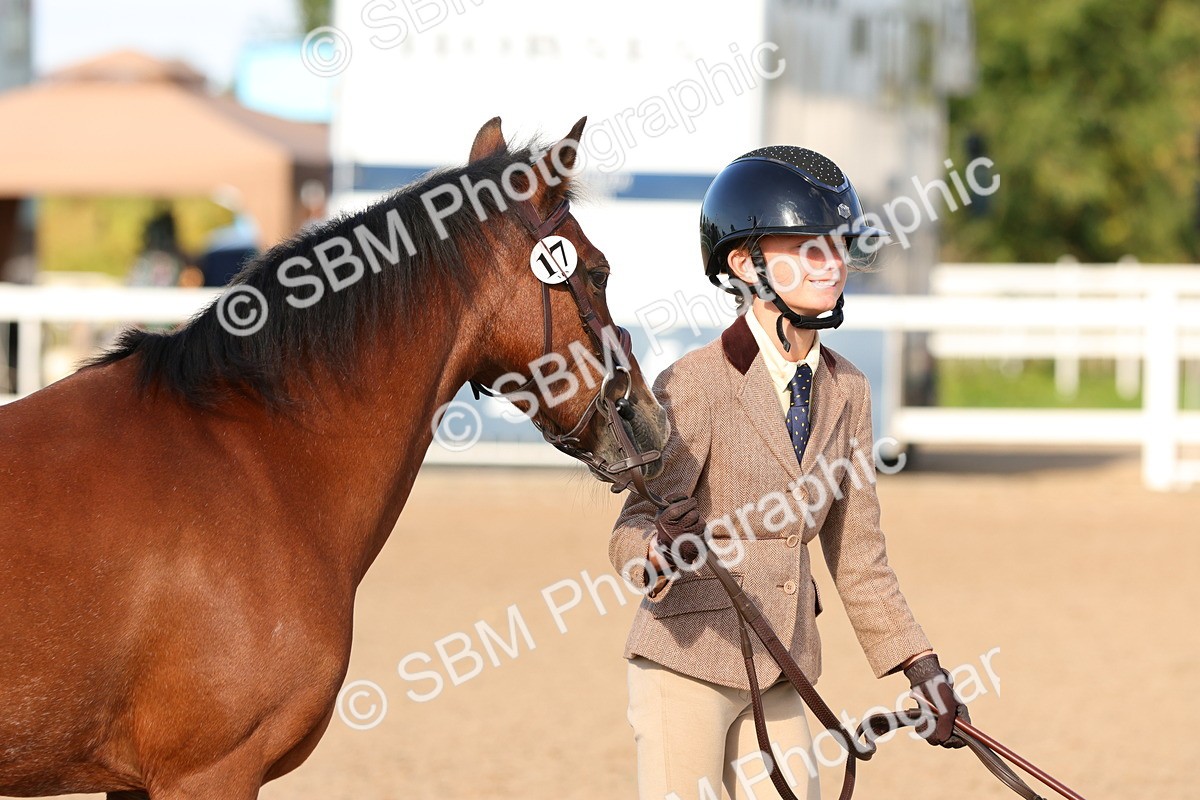 SBM_08641 - Class 203 - Young Handler 10 Years and Under