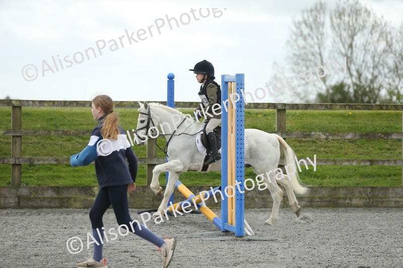 20260412-0652 - Show Jumping