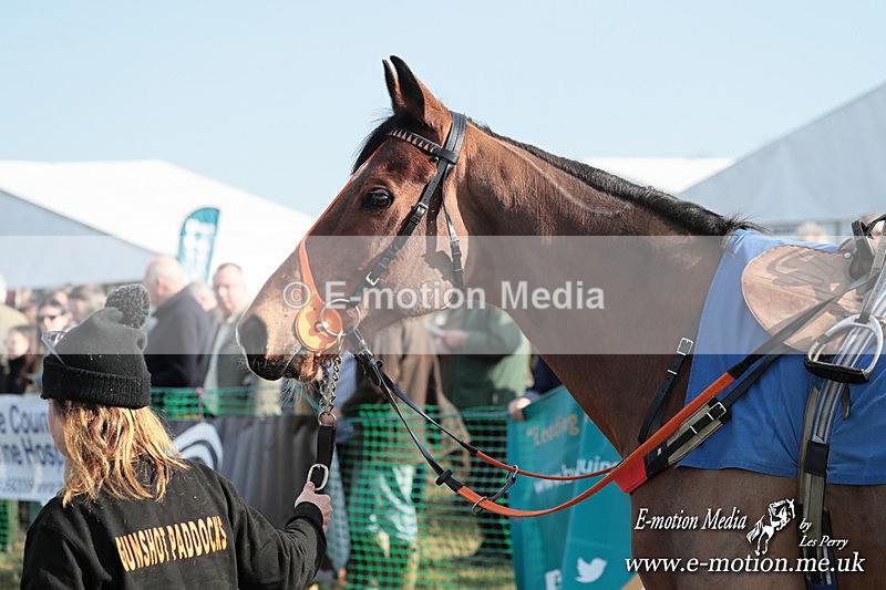 PtP 010325 369 - Beaufort Races Didmarton 01/03/25