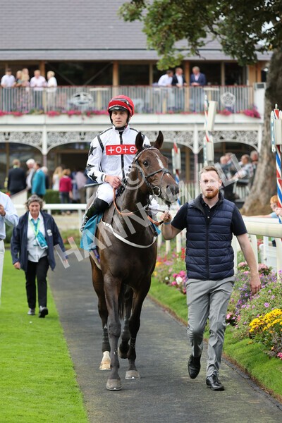yr04092022r4-30 - Race 4 3.30pm Federation of Bloodstock Agents Nursery Handicap