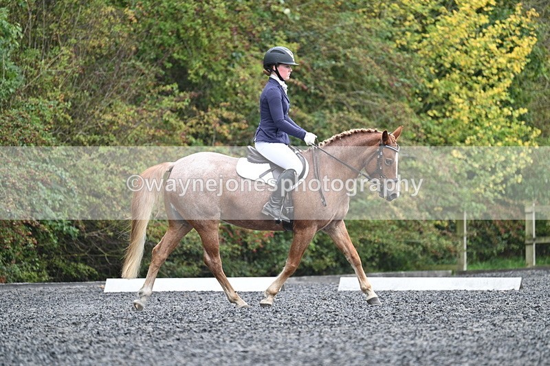 WJ7_3695 - Time 11:04 to 11:38