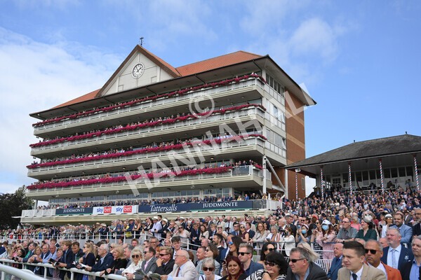 yr18082021r1-47 - Race 1 1.50pm Sky Bet & Symphony Group Stakes