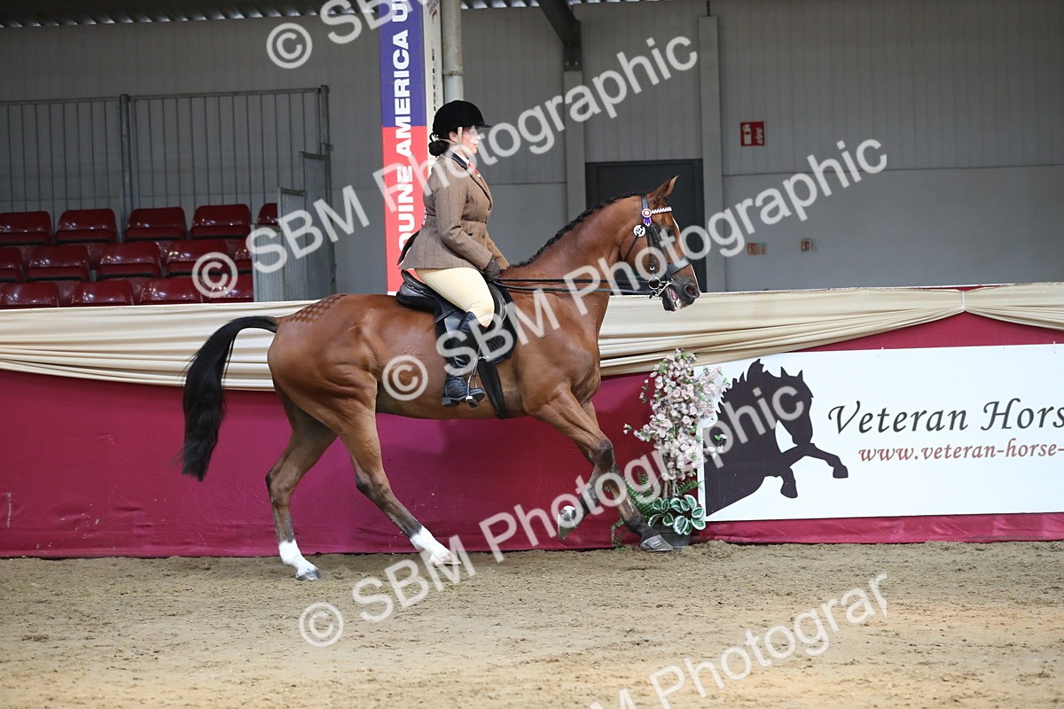 SBM_08320 - Class 11R Regional Ridden Veteran