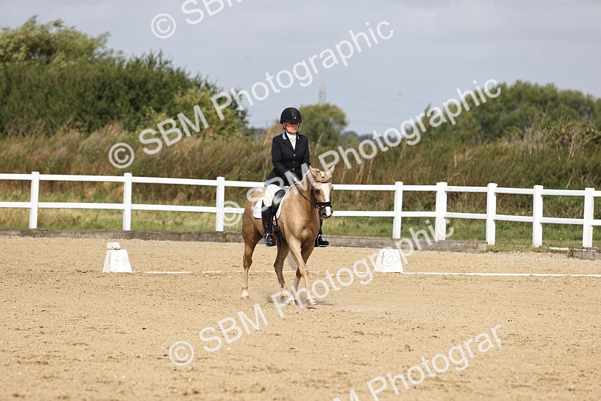 SBM_016206 - Class 14 - Novice 23 - 10.29-11.32