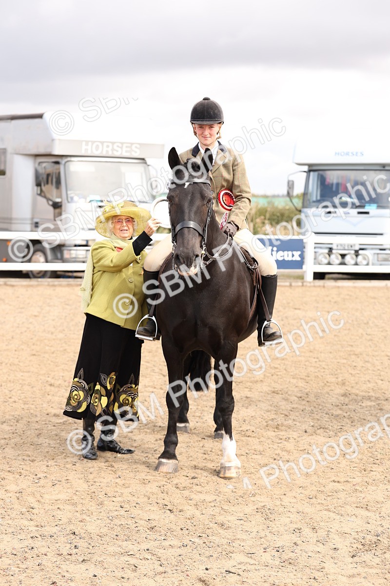 SBM_04312 - Class 54 - Riding Club Horse/Pony