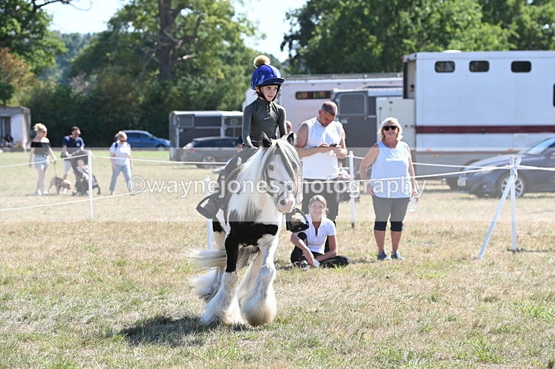 WJ6_8940 - Class 38 Ridden Riding Horse/Pony