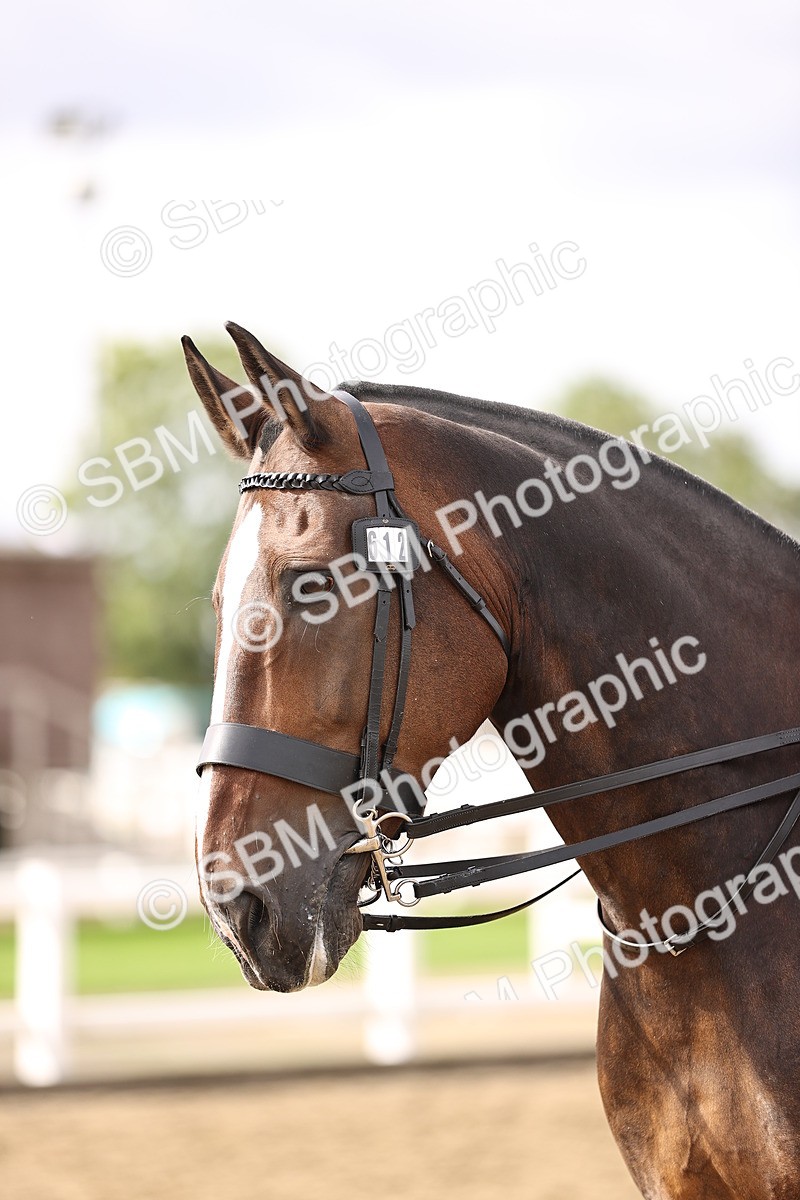 SBM_01695 - Class 55 - Clear Round