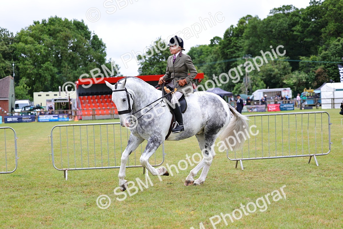 SBM_02640 - Class 9-11 Side Saddle including LIHS Rising Star Ladies Show Horse