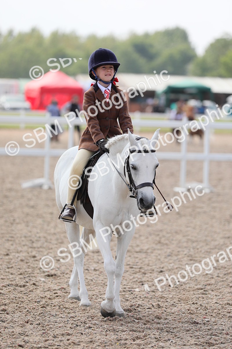 SBM_14695 - Class 310 First Ridden Pony