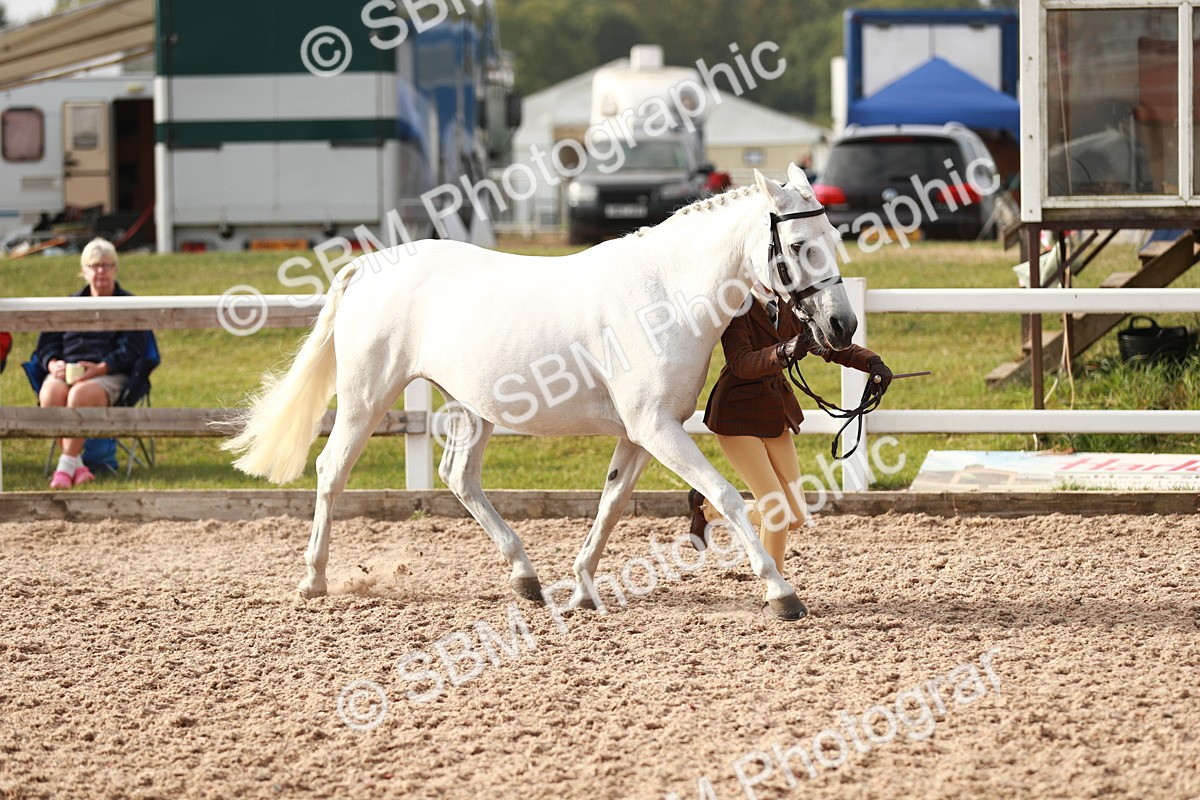 SBM_09862 - Class 203 Young Handler, 10 years and under