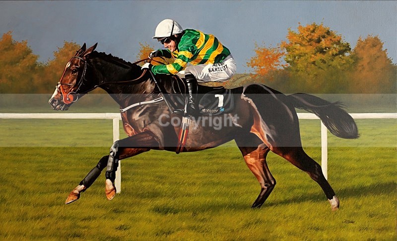 'NUMBER ONE'   A.P.McCOY .JEZKI - Equine